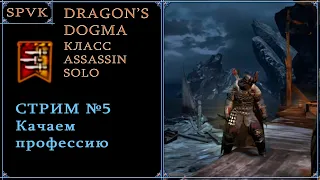 Dragon's Dogma DA СТРИМ №5 - Качаем Ассассина