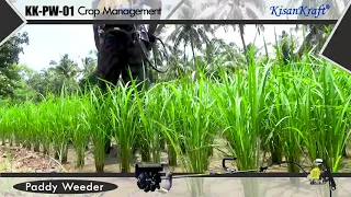 KisanKraft Paddy Weeder #KK_PW_01