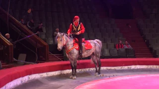 Лошадь в цирке обосрала манеж