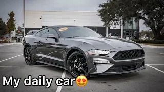 A look at my 2019 mustang ecoboost premium