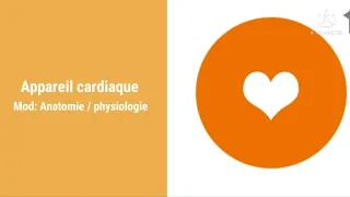 Appareil Cardiaque.