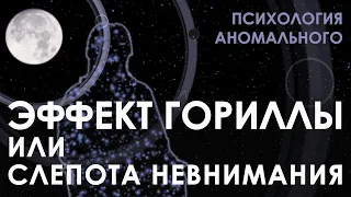 Эффект Гориллы или Слепота невнимания. Психология Аномального.