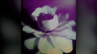 UNSECRET STRING QUARTET - FLOWERS -  (MILEY CYRUS COVER) [OFFICIAL AUDIO]