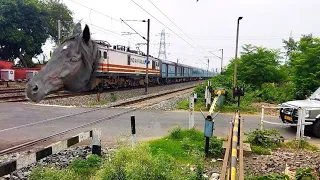 Viral Dangerous MAD HORSE Headed SHATABDI Express Train Furiously Skipped at Railgate