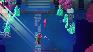 Hyper Light Drifter - The Hanged Man [No Hit, No Upgrades]