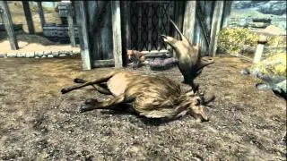 The Adventures of Dovahkitty in Skyrim - Presents for Master