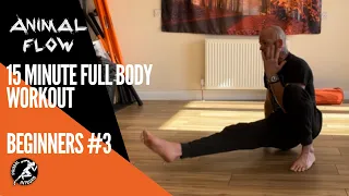 Animal Flow, 15 minute full body workout, beginners #3