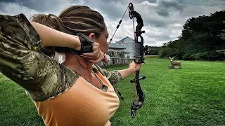 Top 5 Best Compound Bow for The Money To Buy in 2024| Why Budget Bows Are Important!