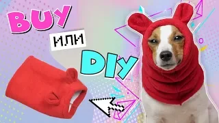 BUY или  DIY? | СНУД ДЛЯ СОБАК | Шапка для собаки своими руками