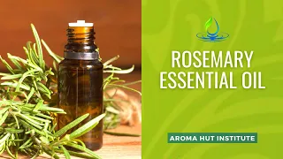 Rosemary Essential Oil Benefits and Rosemary Uses - for Skin & Hair