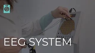 EEG system example of work (NVX, NeoREC, MCScap)