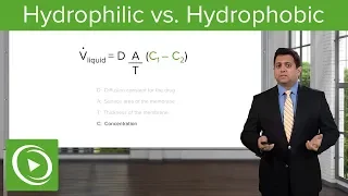 Hydrophilic vs. Hydrophobic: Absorption and Distribution – Pharmacokinetics (PK) | Lecturio