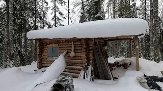 ОДИНОЧНЫЙ ПОХОД НА ТАЁЖНУЮ РЕЧКУ  ЖИЗНЬ В ЛЕСНОЙ ИЗБЕ  Часть 3  ВОЛКИ РЯДОМ  В ПОИСКАХ ХАРИУСА