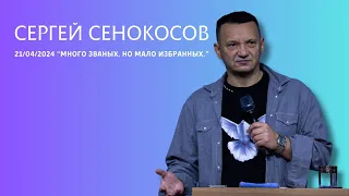 21.04.2024. Сергей Сенокосов. "Много званых, но мало избранных.”