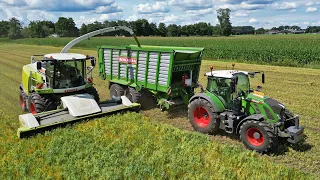 Whole Crop Silage | Claas Jaguar 940 + Fendt | Geresteijn | 2023