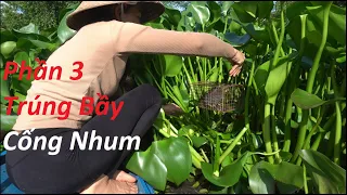 1249 / Trải nghiệm một ngày một đêm săn bắt trên sông Cái Bé