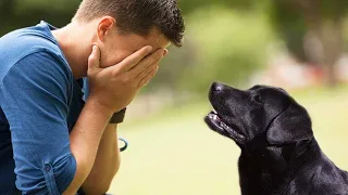 When he found out who the dog’s previous owner was, he could not return the dog to the shelter