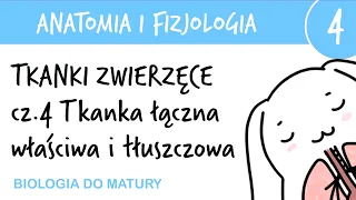 Tkanki zwierzęce cz.4 - Łączna właściwa i tłuszczowa - Anatomia i fizjologia 4 - matura z biologii