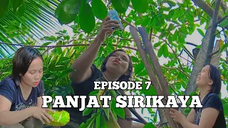 Episode_7_panjat_sirikaya_video_komedi_terbaru_2024_Rekar_Official