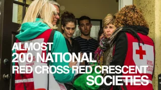 What is the International Red Cross Red Crescent Movement?