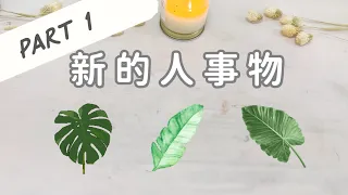 新的人事物即將進入你的生命Part 1「無時間限制」｜塔羅占卜+占卜小物｜Ora Tarot