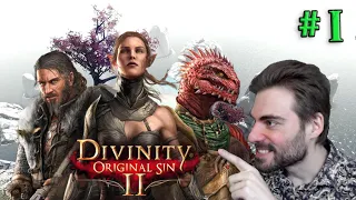 Divinity Original Sin 2: Сюжетная RPG#1