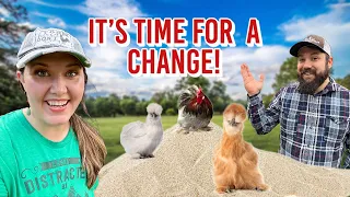 Trying A New Bedding for Our Silkie Chickens | Sand in the Chicken Coop