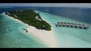 Официальное видео №1 отеля Dhigali Maldives – «Мальдивы и мы»