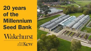 20 years of the Millennium Seed Bank