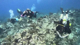 Grand Cayman diving. Beginning of a dive