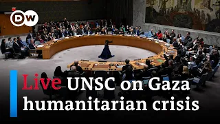 Watch Live: United Nations Security Council discusses Gaza humanitarian crisis | DW News