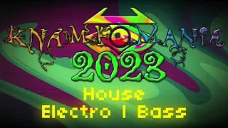 Knamfomania 2023 - Part 1: The beginning of artificial party [House | Electro | Bass]