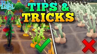 13 Beginner Palia Tips & Tricks That Wish I Knew Sooner!