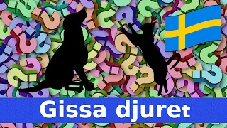Gissa Djuret | Namn & Läten | För Barn | Svenska | Djurens Ljud