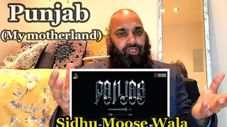 Pakistani reaction on “Panjab (my motherland)”Sidhu Moose Wala |TheKidd |NavkaranBarar | GoldMedia |