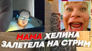 МАМА ХЕЛИНА ЗАЛЕТЕЛА НА СТРИМ | freakanutiy