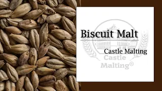 Château Biscuit Malt | Malt Review | Castle Malting TV