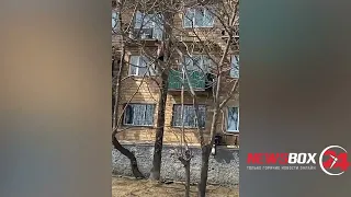 Смертельный номер продемонстрировал житель Владивостока, выйдя из квартиры 5 этажа в окно 😲
