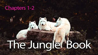 audiobook The Jungle Book by Rudyard Kipling  chapters 1 - 2