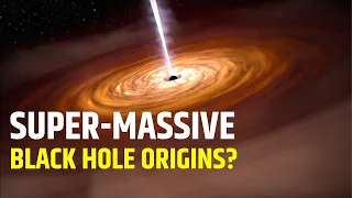 Did JWST Crack the Code of Supermassive Black Hole Origins?