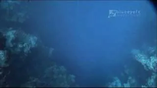 bizzy blue hole egypt.wmv