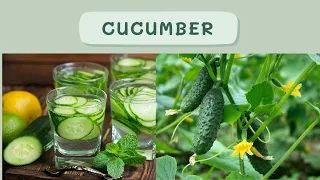 Start Eating a Cucumber a Day, See What Happens to Your Body| Lose Belly Fat In 5 Days With Cucumber