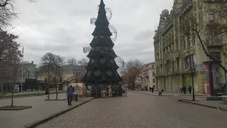 Уже стоит ëлка на Дерибасовской! 5.12.23.🎄