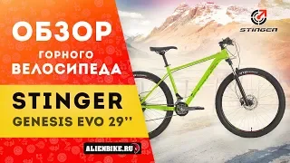 Горный велосипед Stinger Genesis Evo 29"