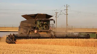 Grain Harvest 2023 ll FENDT IDEAL 9T (790HP) New Harvester Combine   Germany #fendt #trending #viral