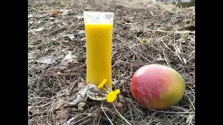 Производство сока из манго. Тестирование линии по переработки плодов манго.