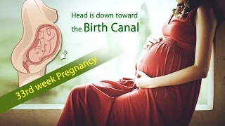 33 Weeks Pregnant: What is Happening in 33 Week Pregnancy?