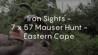 Iron Sights - 7 x 57 Mauser Hunt - Eastern Cape