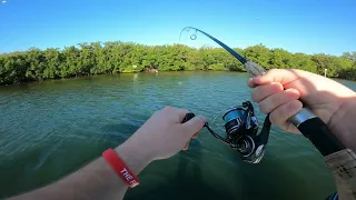 Sarasota Bay Fishing