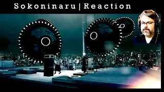 Sokoninaru Reaction | そこに鳴る   啓蒙して、尋常に (reaction 689)